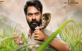 eshwarudu-ott-release-date-heres-when-and-where-you-can-watch-this-romantic-telugu-action-entertainner-amazon-prime-video-disney-plus-hotstar